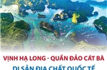 Thông tin chi tiết về Di sản Địa chất quốc tế Vịnh Hạ Long - Quần đảo Cát Bà