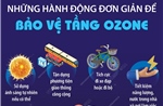 Những hành động đơn giản để bảo vệ tầng ozone