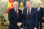 Tổng Bí thư Tô Lâm hội đàm hẹp với Tổng thống Nga Vladimir Putin