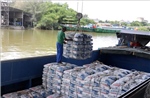 Giảm thuế xuất khẩu clanhke xi măng xuống 5%
