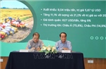 Kịp thời triển khai chiến lược về xuất khẩu gạo đến năm 2030