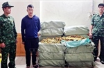 Liên tiếp phát hiện các vụ vận chuyển thực phẩm không rõ nguồn gốc
