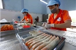Bình Định kết nối sản phẩm OCOP, sản phẩm công nghiệp nông thôn tiêu biểu​