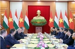 Tổng Bí thư Tô Lâm hội kiến Tổng thống Hungary Sulyok Tamás