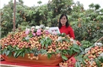 Triển khai các biện pháp bảo đảm sản xuất, chế biến, tiêu thụ và xuất khẩu nông sản