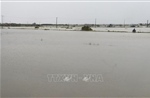 Mưa lũ do bão số 1 gây úng ngập trên 58.100 ha lúa, hoa màu ở các địa phương