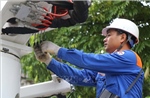 Điện lực Lào Cai lên kế hoạch ứng phó khi xảy ra sự cố thiên tai