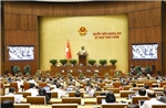 Kỳ họp thứ 9, Quốc hội khóa XV: Đấu tranh chống hàng giả đã có kết quả nhưng còn diễn biến phức tạp