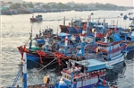 Ngư dân vươn khơi với kỳ vọng vụ cá Nam có sản lượng cao