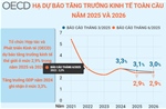 OECD hạ dự báo tăng trưởng kinh tế toàn cầu năm 2025 và 2026