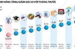 CPI tháng 6/2025 tăng 0,48%