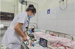 Huế: Số ca mắc liên cầu lợn tăng bất thường, đã có trường hợp tử vong