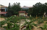 Hà Nội: Chủ động phòng ngừa, ứng phó với thiên tai