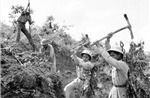 Một thời cống hiến, một đời tri ân