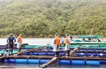Quảng Ninh: Di dời 7.518 người ở các khu nuôi trồng thủy sản lên bờ an toàn