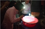 Sốt xuất huyết có xu hướng gia tăng, cần chủ động loại bỏ các ổ bọ gậy