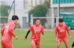 Đội tuyển nữ Việt Nam thuộc nhóm hạt giống số 2 tại vòng chung kết giải châu Á 2026