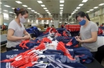 5 năm thực thi EVFTA: Giữ vững nhịp tăng trưởng hợp tác kinh tế Việt Nam và EU