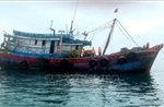 Cần Thơ ra quân cao điểm chống khai thác IUU