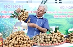 Đưa thương hiệu nhãn Hưng Yên vươn thị trường xuất khẩu