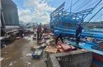 Khắc phục &#39;thẻ vàng&#39; IUU: Xử lý kịp thời các trường hợp tàu cá mất kết nối