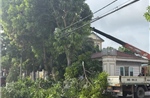 Ứng phó bão số 5: Đảm bảo lưới điện vận hành an toàn trong mọi tình huống