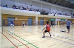 80 năm Quốc khánh: Tưng bừng giải cầu lông cộng đồng người Việt tại Nhật Bản