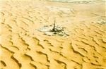 Tổ quốc trong tim những người con Việt nơi sa mạc Sahara