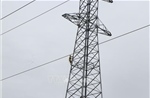 Chấp thuận chủ trương đầu tư dự án đường dây 220kV Phong Thổ - Than Uyên