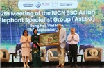 Liên minh Bảo tồn thiên nhiên quốc tế bàn giải pháp bảo tồn voi châu Á 