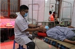 Y học cổ truyền ngày càng &#39;đắt khách&#39;