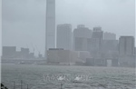 Trung Quốc: Bão Ragasa gây ngập lụt tại một số khu vực ở Hong Kong và Macau