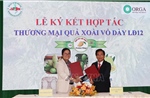Ký kết hợp tác thương mại hóa giống xoài Cát Lộc Phát