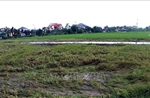 Dông lốc mạnh ở Hưng Yên làm 2 người tử vong, khoảng 10 người bị thương
