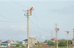 Điện lực miền Bắc yêu cầu lập đội xung kích sẵn sàng cơ động ứng phó bão số 11