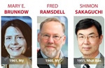 Giải Nobel Y sinh 2025 vinh danh 3 nhà khoa học Mary E. Brunkow, Fred Ramsdell và Shimon Sakaguchi