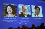 Nobel 2025: Nobel Y Sinh vinh danh khám về hệ thống kiểm soát miễn dịch