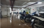 Không để hầm chung cư là &#39;vùng chết&#39; trong lòng đô thị mùa mưa bão