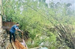 Người dân Cẩm Duệ sống bất an bên bờ sông sạt lở