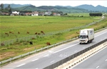 Xử lý việc người dân tháo dỡ rào ngăn cách cao tốc Diễn Châu - Bãi Vọt, biến thành khu chăn thả gia súc