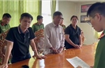 Nhiều vụ vi phạm pháp luật được phát hiện, xử lý nghiêm