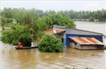Tây Ninh căng mình giữa mùa lũ lớn