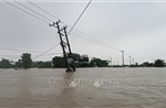 Truyền tải thông tin nhanh đến người dân, nâng cao hiệu quả ứng phó mưa lũ