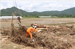 Ngành điện khẩn trương ứng phó bão KALMAEGI, khắc phục hậu quả mưa lũ