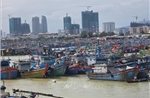 Đà Nẵng: Tàu thuyền khẩn trương vào tránh trú trước bão số 13