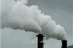 Thuế carbon của EU có thể gây tranh cãi tại COP30