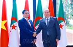 Thủ tướng Phạm Minh Chính hội đàm với Thủ tướng Algeria Sifi Ghrieb