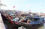 Hải Phòng chuyển biến tích cực trong chống khai thác IUU