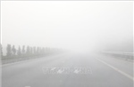 Cảnh báo sương mù tiếp tục xuất hiện trong những ngày tới