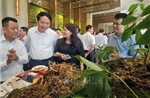 Từ tư duy sản xuất thuần túy đến kinh tế nông nghiệp bền vững (Bài 1)